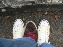 night_of_the_prog_2009_323