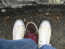 night_of_the_prog_2009_324