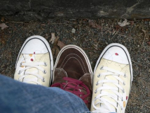 night_of_the_prog_2009_325