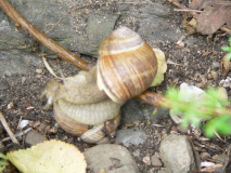 p1110047