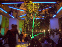 cimg0256
