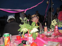 roskilde_2011_041