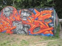roskilde_2011_108