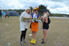 roskilde_13_105