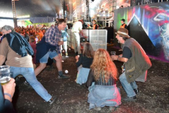 roskilde_13_250