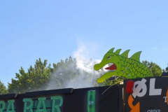 roskilde_13_358