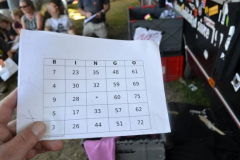 roskilde_13_386