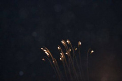 roskilde_13_434